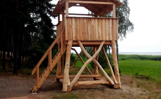 Stebejimo bokst (4).jpg